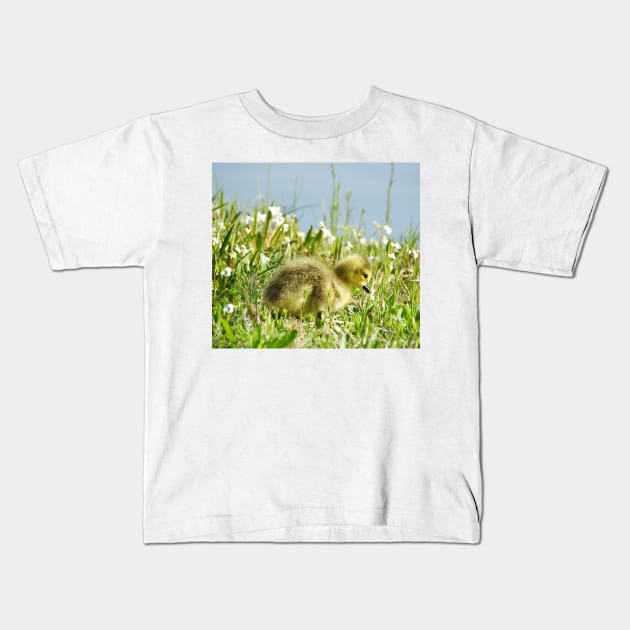 Baby gosling, Canadian Geese, wildlife gifts Kids T-Shirt by sandyo2ly